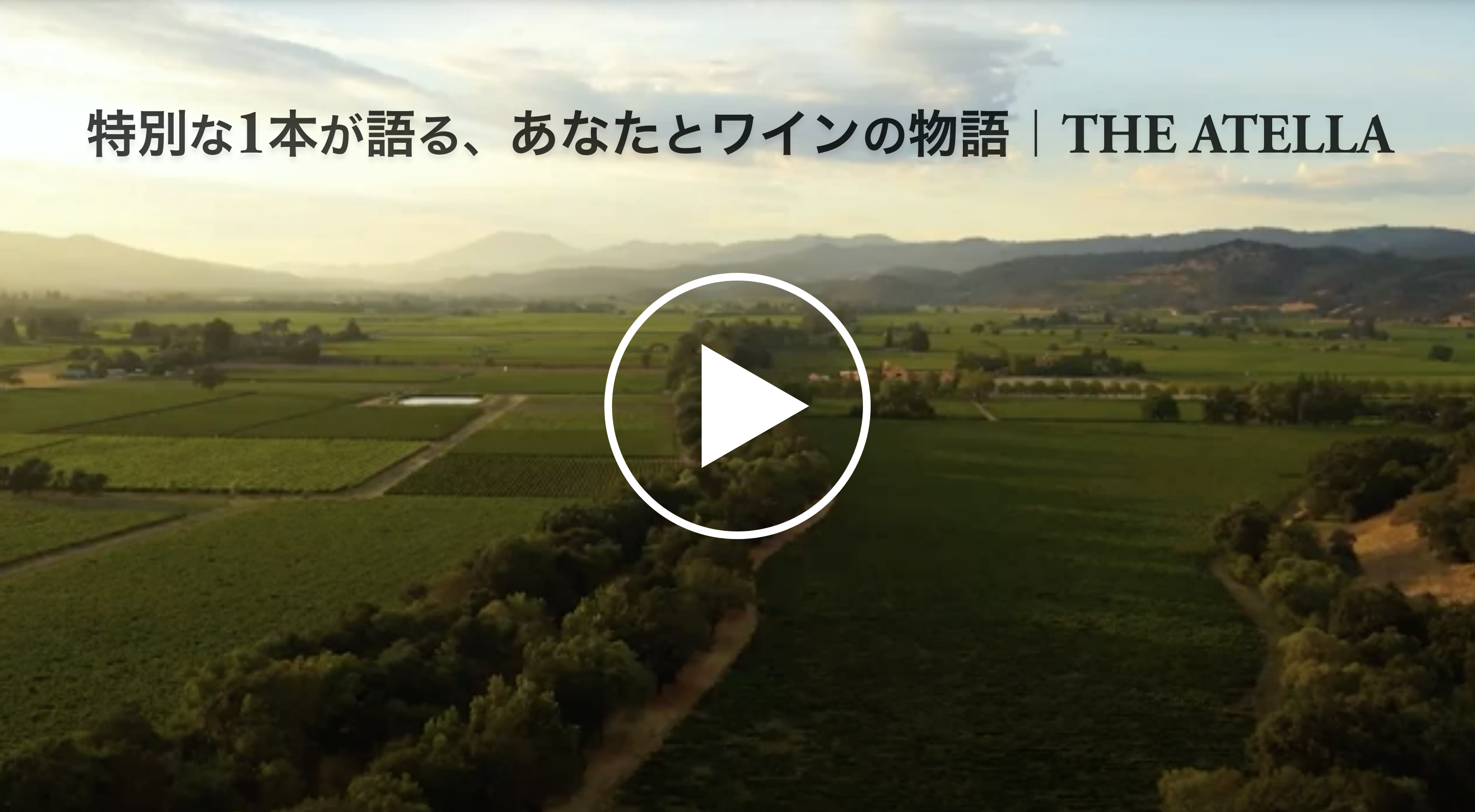 ワイナリーツアー