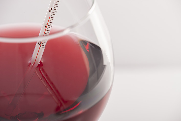 ワインのテイストと温度の関係