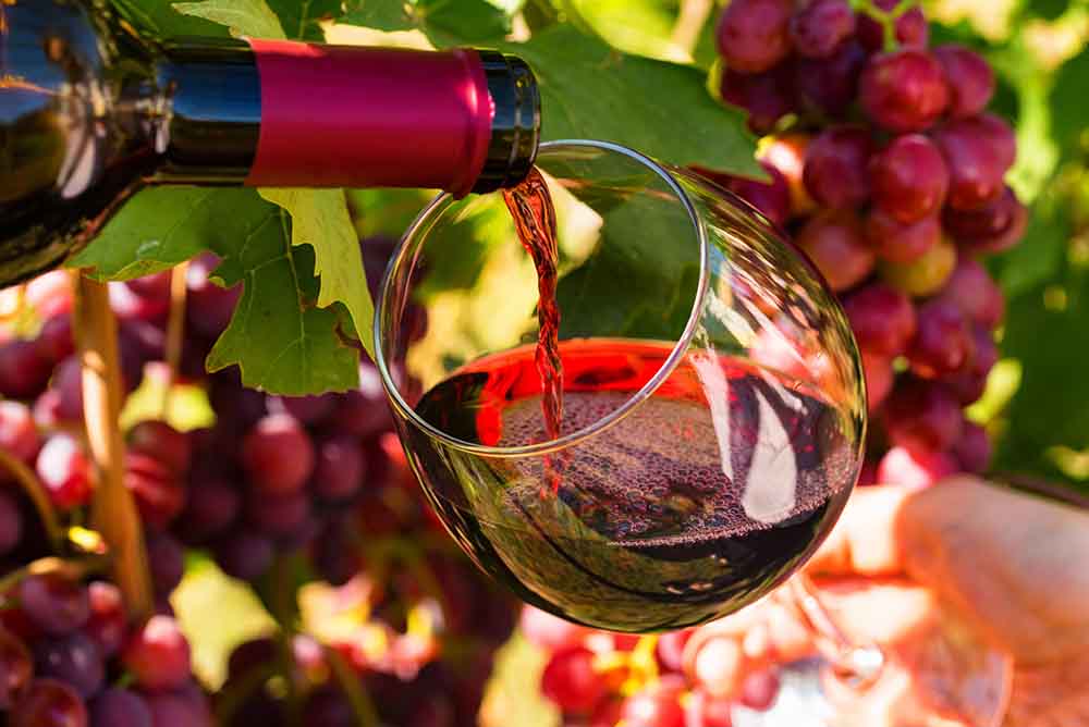 世界が絶賛するカリフォルニアワインの特徴と選び方