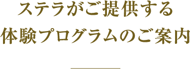 THE STELLA（ステラ）とは