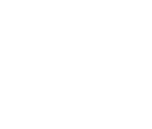THE STELLA