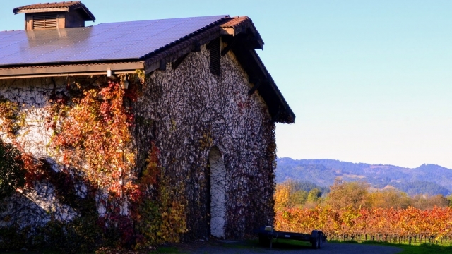 ワインを貯蔵する小屋の写真