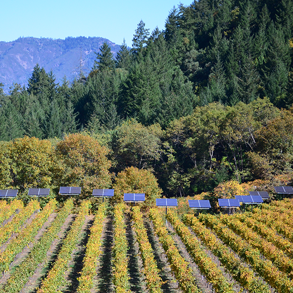 2005 Keenan "Side By Side", Reserve, Spring Mountain District