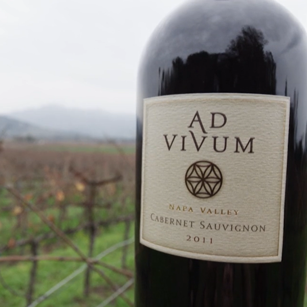 2016 Napa Valley Cabernet Sauvignon, Sleeping Lady Vineyard, Yountville